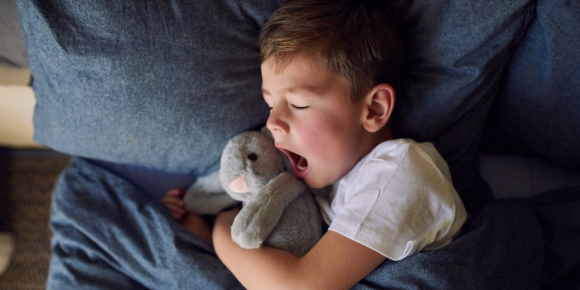 A little boy yawns and sleeps in his bed while snuggling a stuffed animal. Those who slept less "than the recommended amount were found to have higher rates of obesity, diabetes and high blood pressure," said one medical professional about the new study out of Columbia University in New York City. 