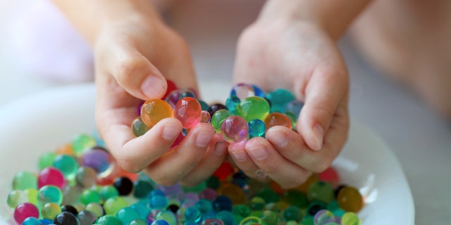 A youth is shown holding a set of orbeez or hydrogel water balls.