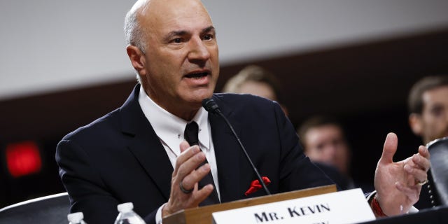 Kevin O'Leary, chairman of O'shares ETFs for O'Leary Funds Management LP, speaks during a Senate Banking, Housing, and Urban Affairs Committee hearing on FTX in Washington, DC, US, on Wednesday, Dec. 14, 2022. Photographer: Ting Shen/Bloomberg via Getty Images