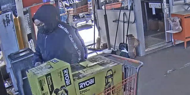 The suspect was allegedly stealing three pressure washers when he shoved the elderly worker while leaving the store.