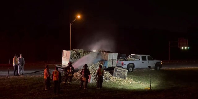 Fire crews responded to a vehicle fire just after 8:30 p.m. Saturday on I-75 in Ocala, Florida.