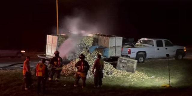 Fire officials said the 6,000 pounds of onions on the trailer were lost in the fire.