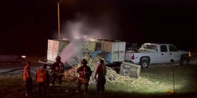 Fire officials said the 6,000 pounds of onions on the trailer were lost in the fire.