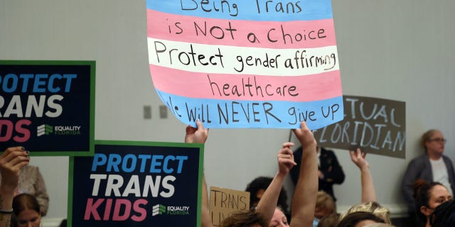 People hold signs during a joint board meeting of the Florida Board of Medicine and the Florida Board of Osteopathic Medicine gather to establish new guidelines limiting gender-affirming care for children in Florida, on Nov. 4, 2022. 