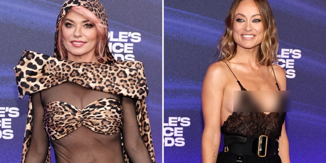 Shania Twain and Olivia Wilde wore see-through dresses at the People's Choice Awards on Tuesday in Los Angeles.