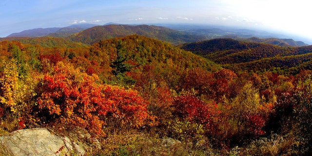 A view of the fall colors along Skyline drive in Shenandoah National Park in Virginia in Oct. 2015.