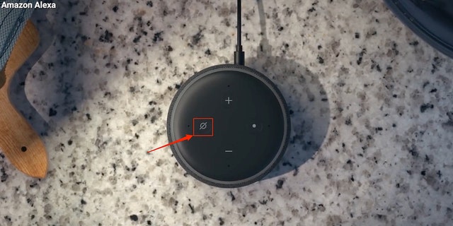The mute button on your Amazon Alexa speaker.
