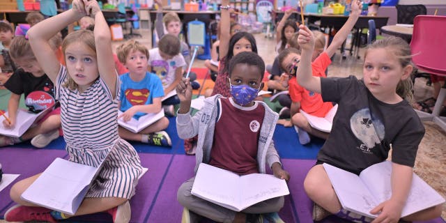 Foundations backing race-based and equity initiatives in the classroom argue that evidence has shown social and emotional learning can help students succeed.