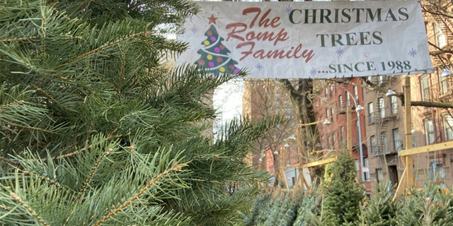 The Romp family of Vermont has sold Christmas trees in Greenwich Village every single year since 1988. 