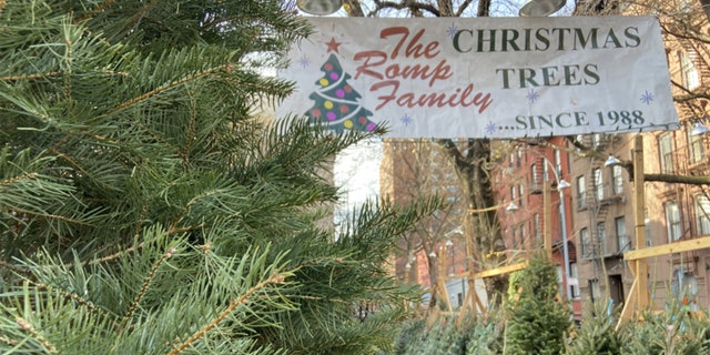The Romp family of Vermont has sold Christmas trees in Greenwich Village every single year since 1988.