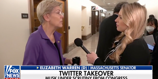 Sen. Elizabeth Warre, D-Mass., spoke to Fox Business about Elon Musk's handling of Twitter