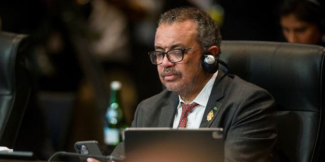 World Health Organization Director-General Tedros Adhanom Ghebreyesus announced Friday that he believed a new, deadly COVID-19 variant may be on the horizon as global restrictions continue easing.