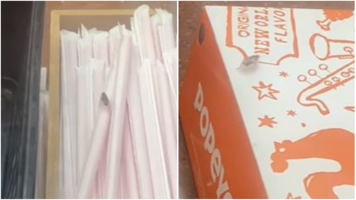Detroit Popeyes shuts down after DoorDash driver video shows cockroaches on food order Detroit Popeyes shuts down after DoorDash driver video shows cockroaches on food order