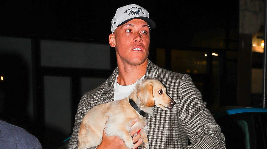 Aaron Judge, Who Was Bombarded With Dog Photos From His New York