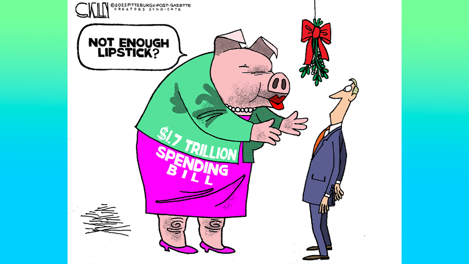 Political cartoons of the day | Fox News