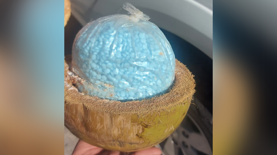 Fentanyl in a coconut