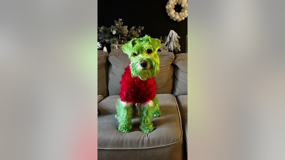 rizzo the grinch on the couch