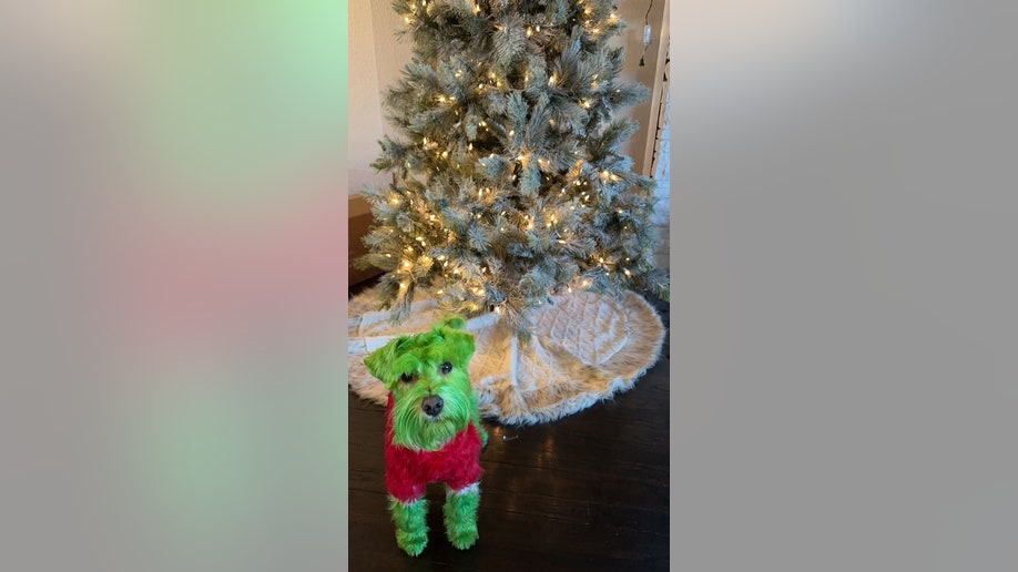 rizzo the grinch in front of christmas tree