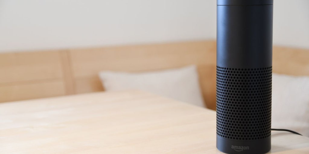 Experts warn people not to put  Echo Alexa devices in their