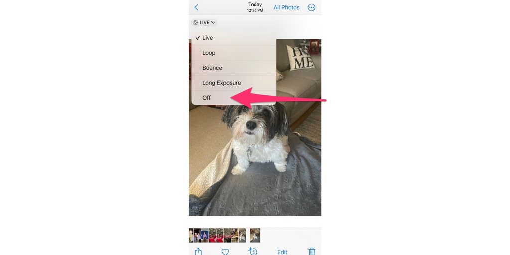 How to turn Live Photos on and off on iPhone - Vimarsana News