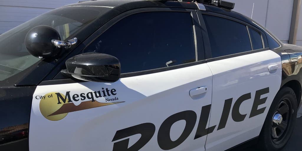 Nevada detective fired for driving patrol car drunk with alcohol and guns inside: report