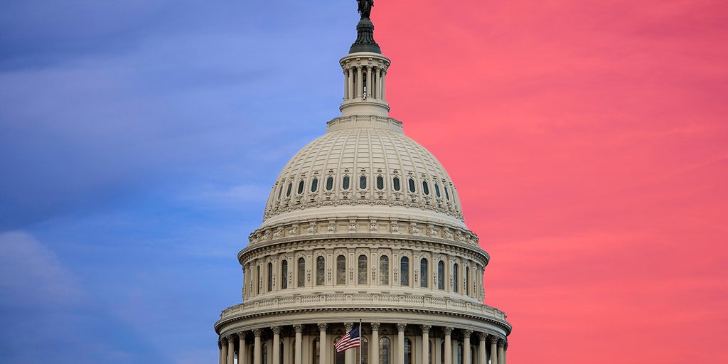 SPLITSVILLE: What can a divided Congress actually deliver? Americans weigh in - Vimarsana News