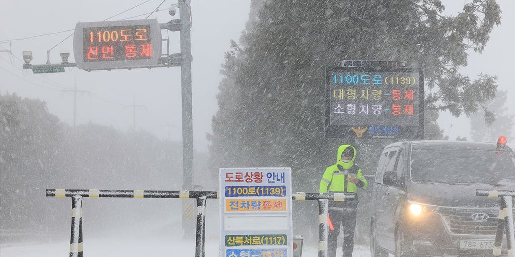 South Korea, Japan face deaths, travel disruptions amid heavy snow storm