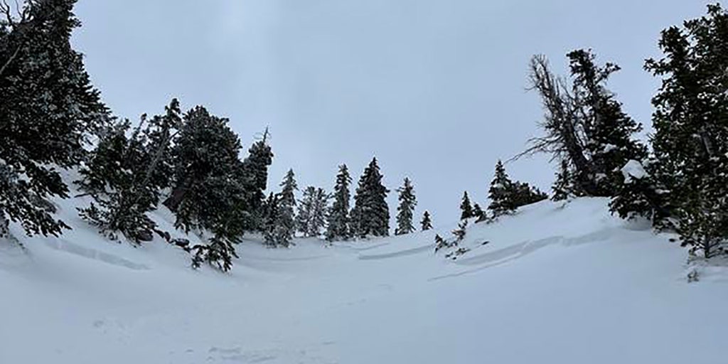 Utah snowboarder caught in avalanche records video of harrowing 300-foot descent - Vimarsana News