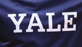 Yale Bulldogs logo  during the first half of the college basketball game between the Seton Hall Pirates and Yale Bulldogs on November 14, 2021 at the Prudential Center in Newark, New Jersey.