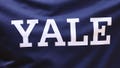 Yale Bulldogs logo  during the first half of the college basketball game between the Seton Hall Pirates and Yale Bulldogs on November 14, 2021 at the Prudential Center in Newark, New Jersey.