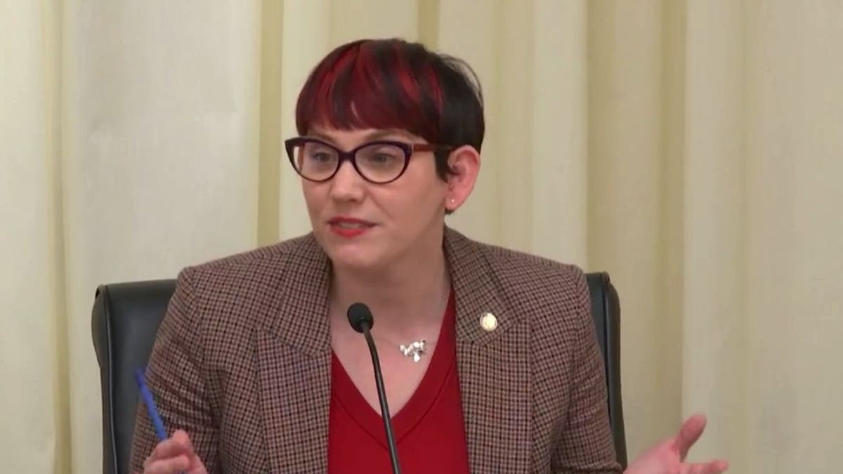 Representative Sandra Feist arguing for the inclusion of menstrual products in boy's restrooms