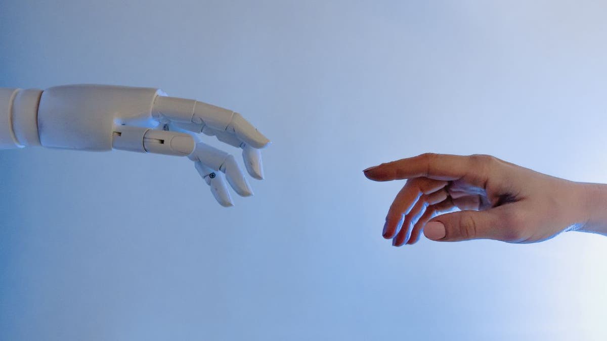 Hands of a robot and a human