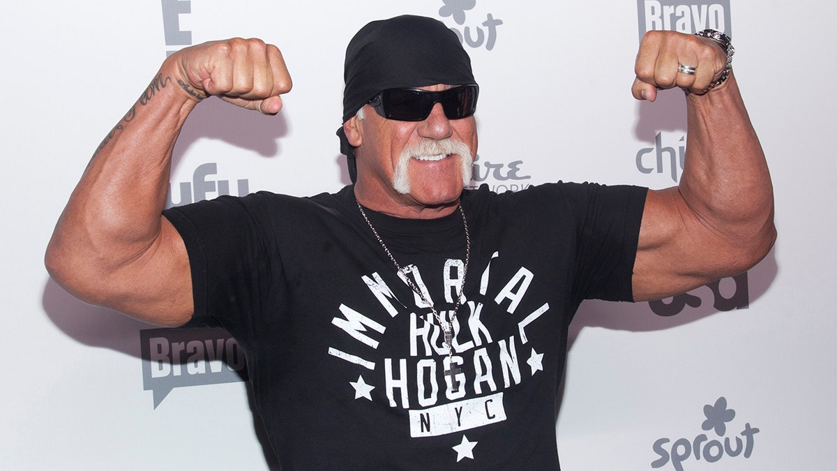 Hulk Hogan in 2015
