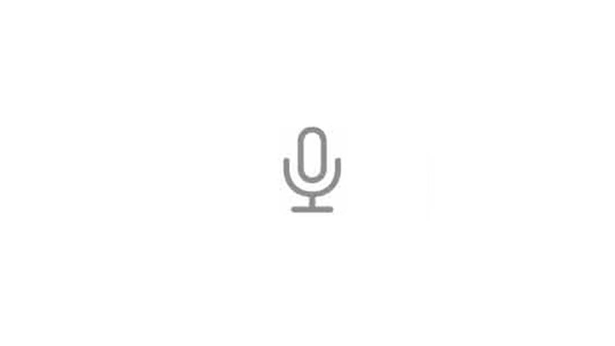 Microphone button