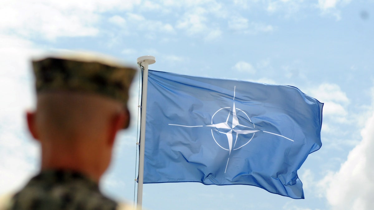 nato flag soldier