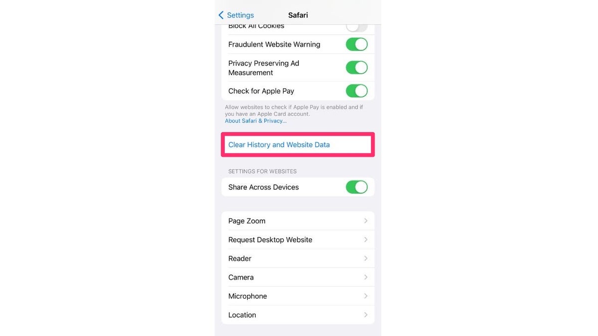 web data iPhone settings