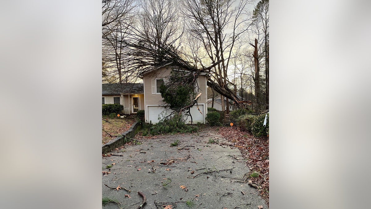 A tree leaning on a home with a garage