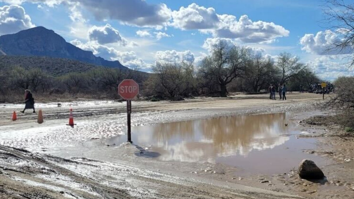 Flooded ground at Arizona's Catalina State Park