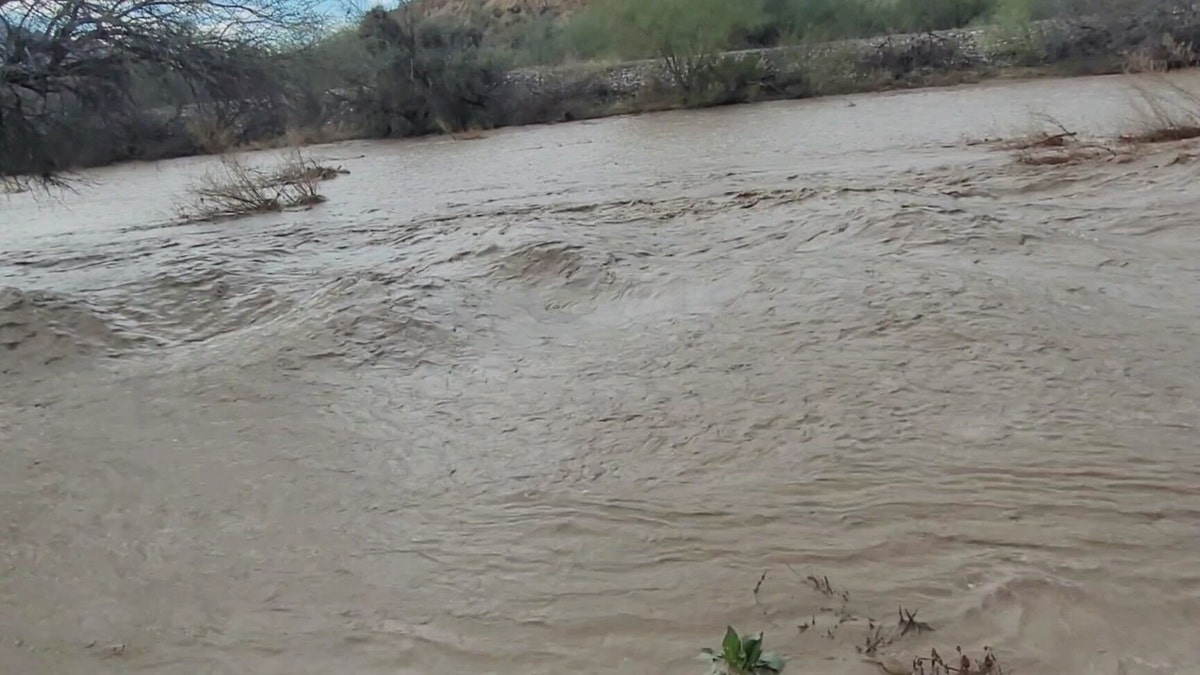 Floodwaters at Catalina State Park