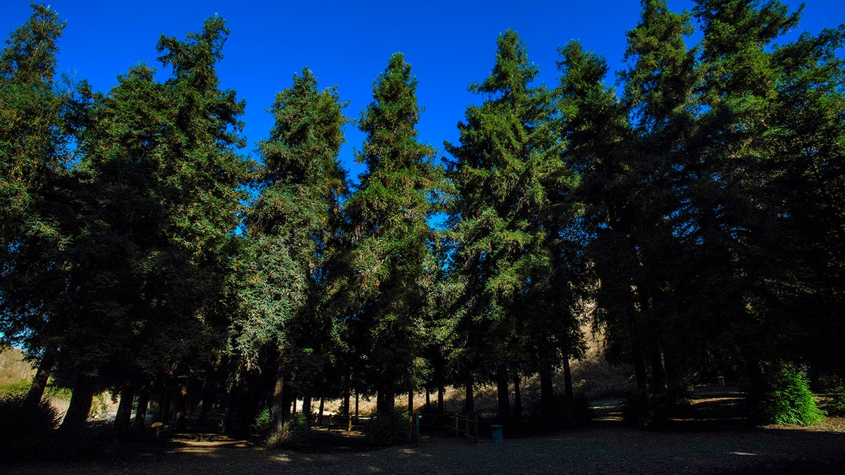 Carbon Canyon Regional Park