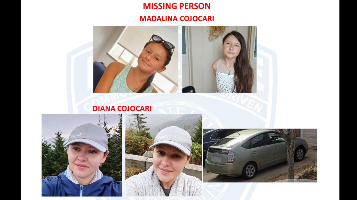 Missing North Carolina girl Madalina Cojocari