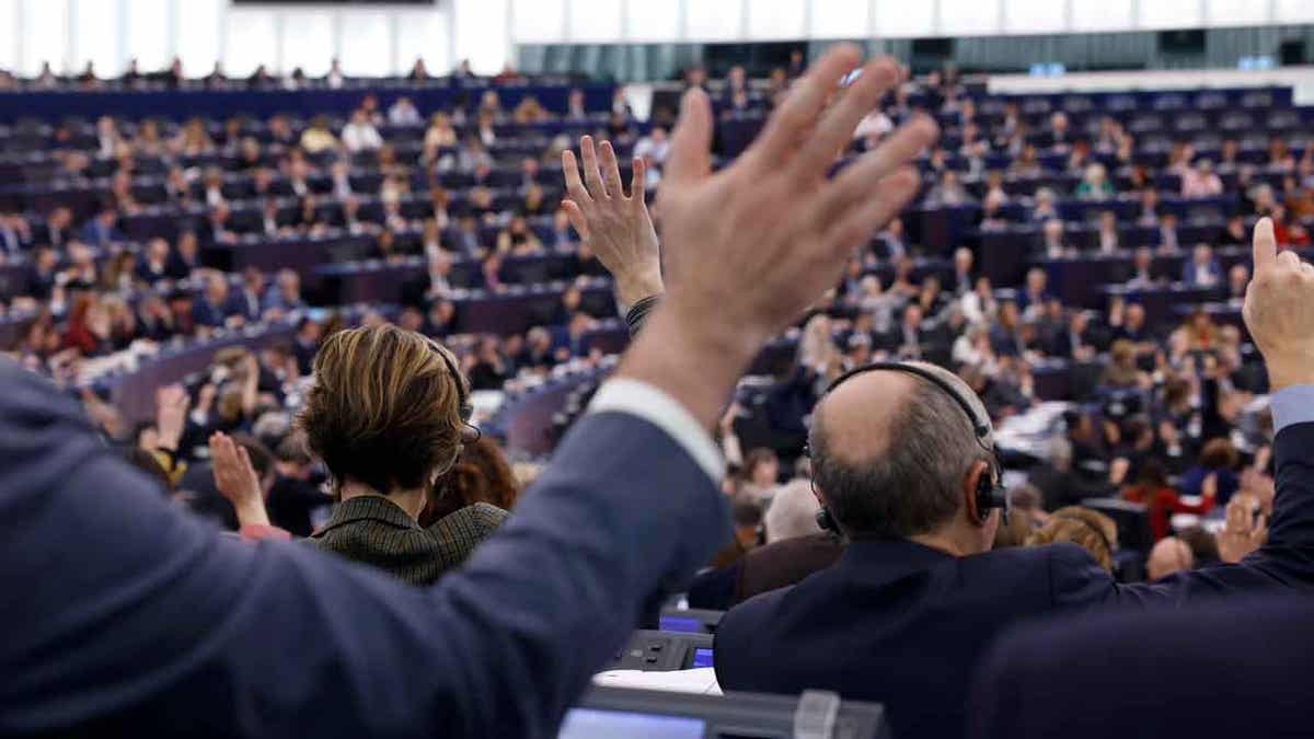 European parliament voting