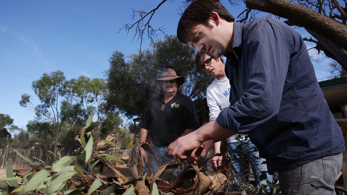 World's top chef Rene Redzepi, of Danish restaurant Noma checks a kangaroo being cooked on an open bush fire oven during a visit to the Iga Warta indigenous community in the South Australian Outback.