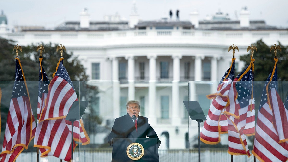 Trump in front of the White House