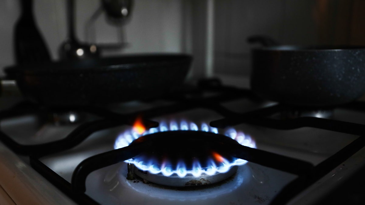 Gas stoves are the targets of some new laws.