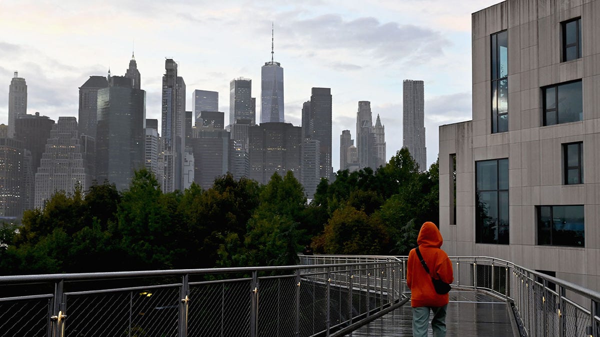 Brooklyn Bridge Park walker