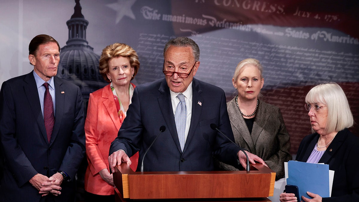 Debbie Stabenow, Chuck Schumer