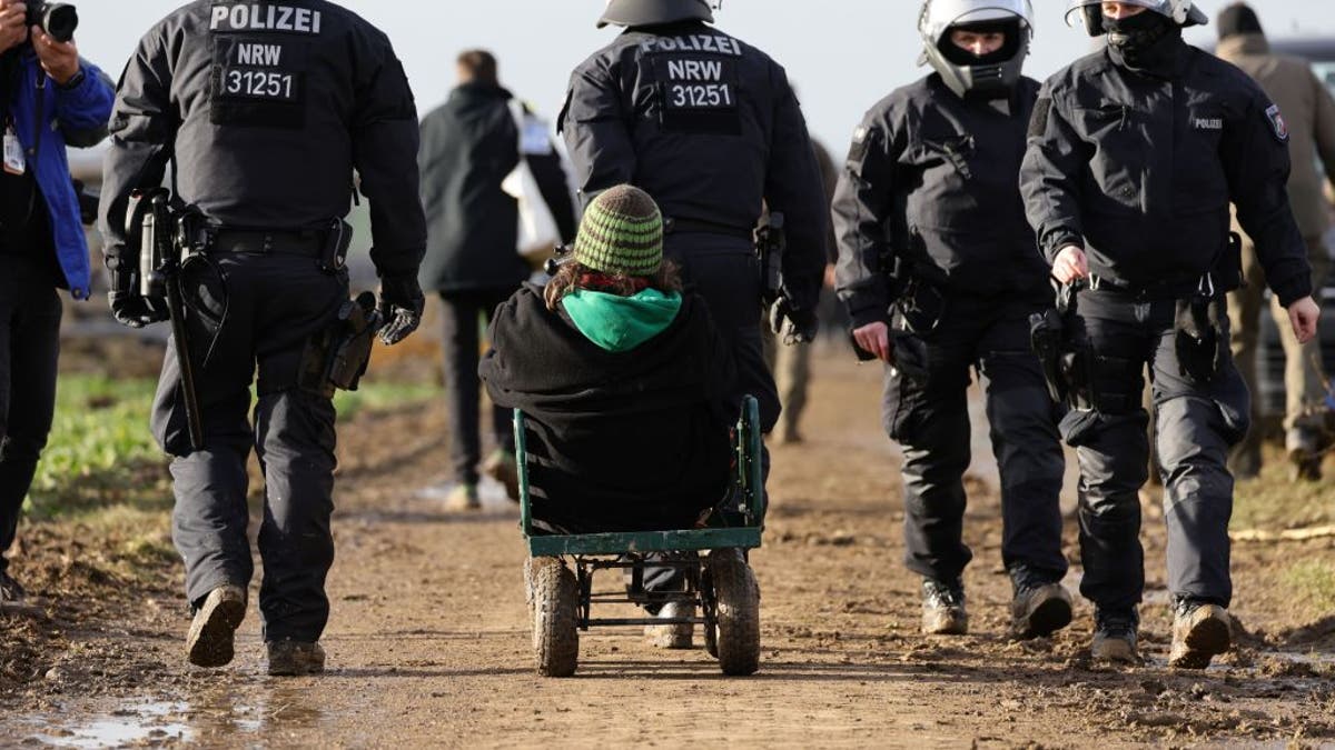 German police detain protester