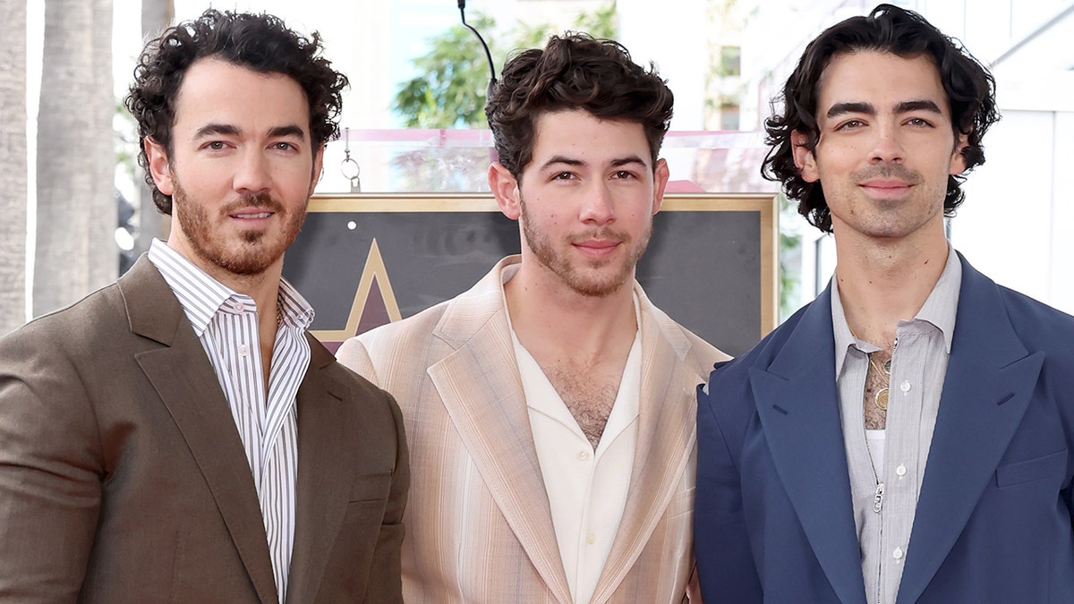 Jonas Brothers in Hollywood