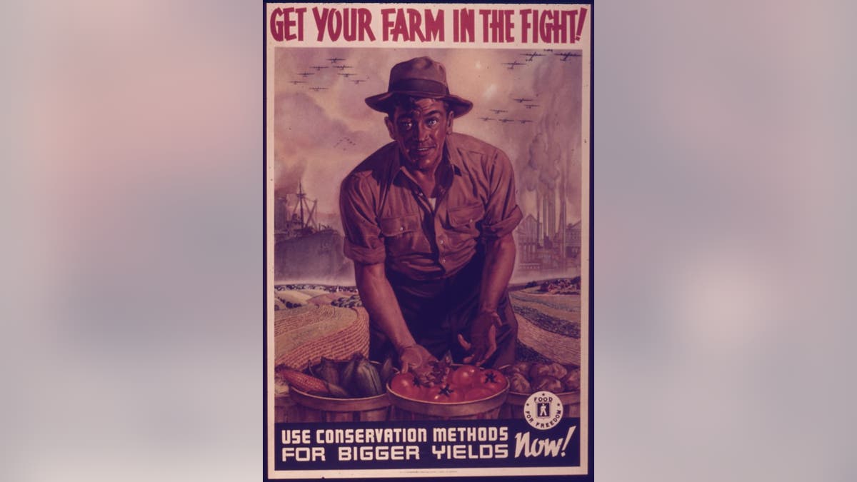 World War II victory garden